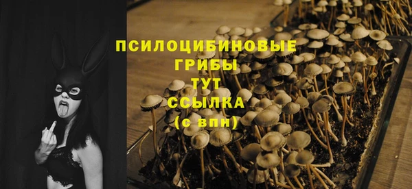 бутират Алзамай